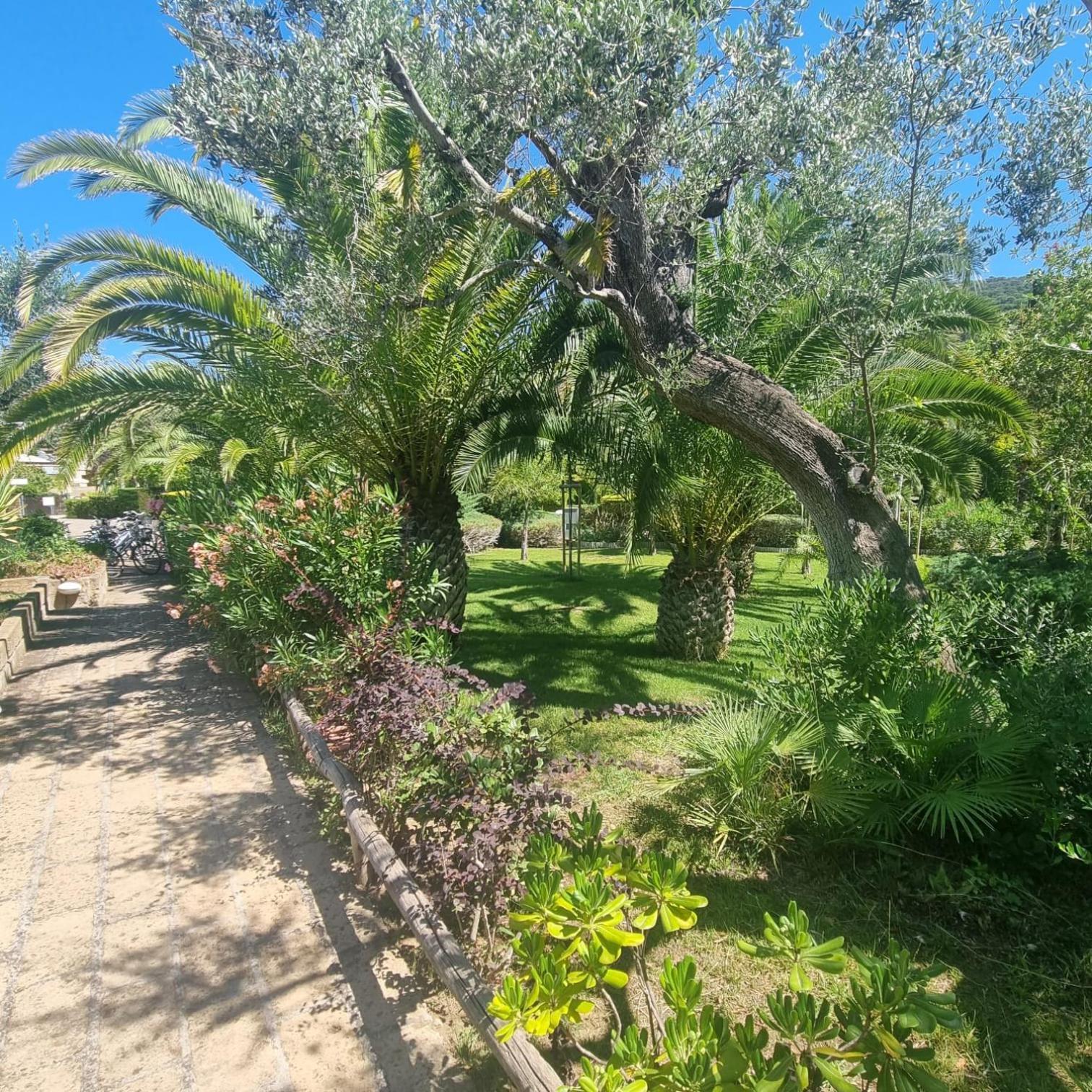 Solemaremma 4* Castiglione della Pescaia