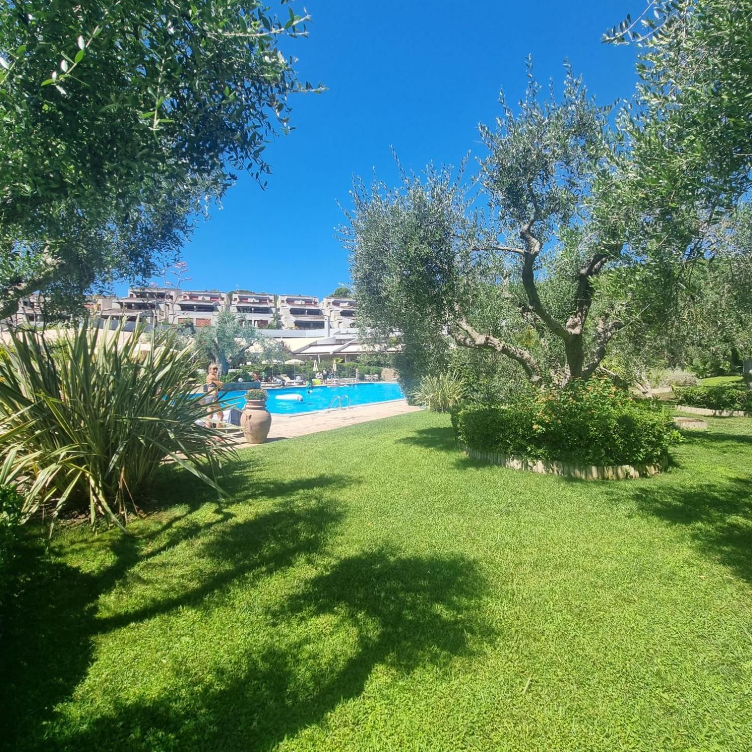 Solemaremma
